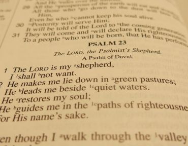 Psalm Chapter 8.1-9