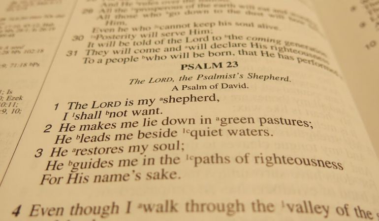 Psalm Chapter 11:1-7