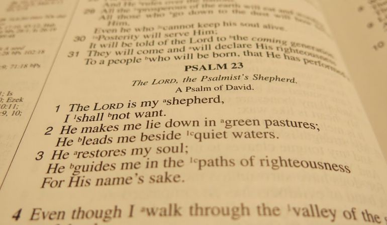 Psalm Chapter 8.1-9