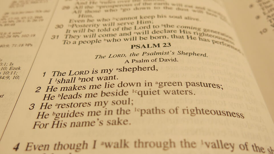 Psalm Chapter 9:1-20
