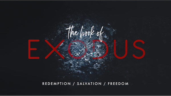 Exodus Chapter 9:1-35